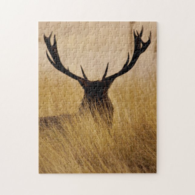 Puzzle Buck in the Brush - 11x14 - 252 pièces (Vertical)