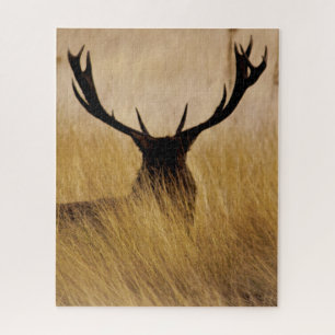 Puzzle Buck in the Brush - 16x20 - 520 pièces