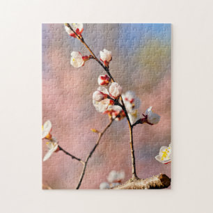 Puzzle Buds Of Japanese Apricot Flowers In Spring