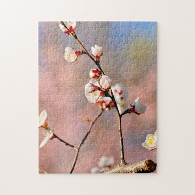 Puzzle Buds Of Japanese Apricot Flowers In Spring (Vertical)