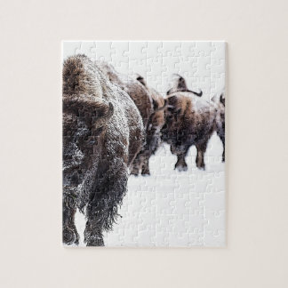 Puzzle Buffalo