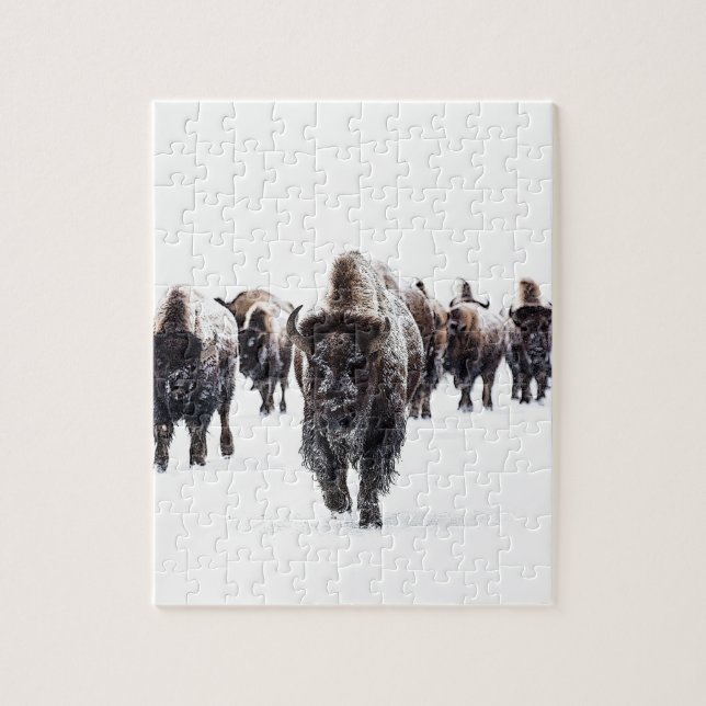 Puzzle Buffalo (Vertical)