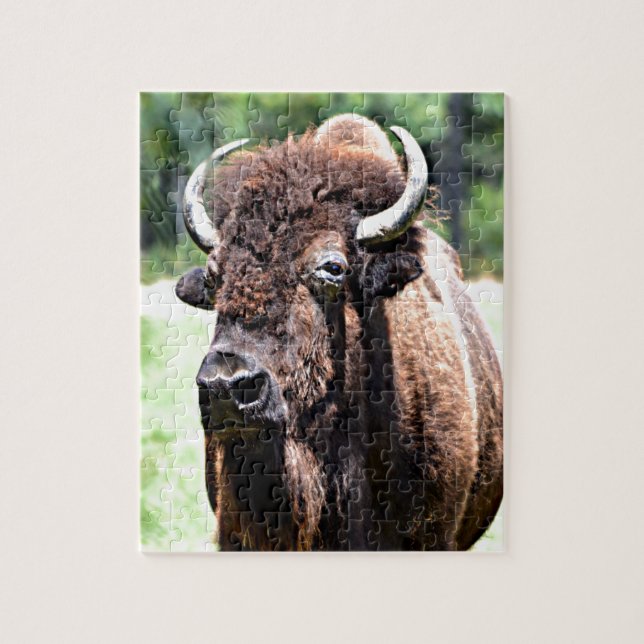 Puzzle Buffalo (Vertical)