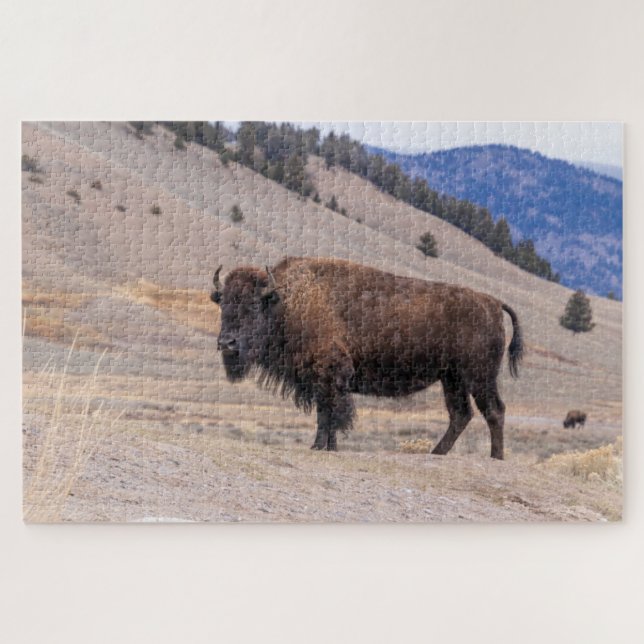 Puzzle Buffalo Bison American Wildlife (Horizontal)