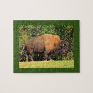 Puzzle Buffalo (Bison) Kansas, Oklahoma, Wyoming