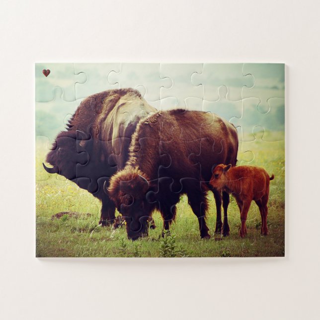 Puzzle Buffalo et veau Oklahoma (Horizontal)