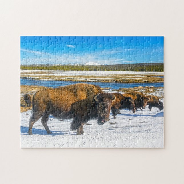 Puzzle Buffalo Montana. (Horizontal)