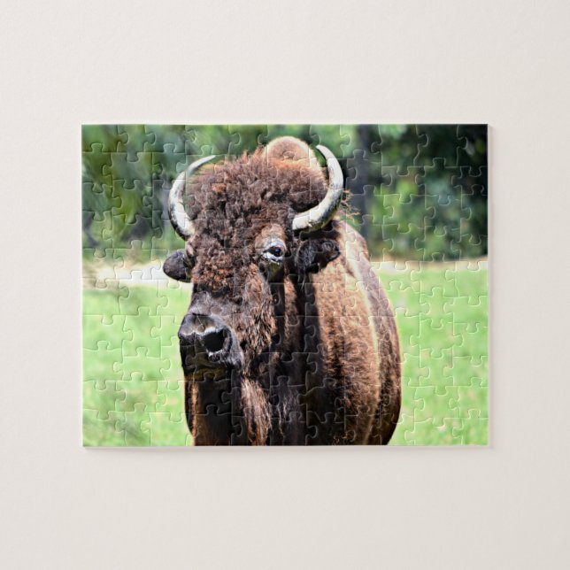 Puzzle Buffle (bison) (Horizontal)