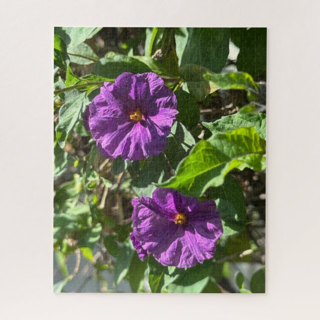 Puzzle Buisson de pomme de terre violette, Oakland (Vertical)