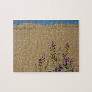 Puzzle Buisson d'indigo du Mojave et dunes de Kelso