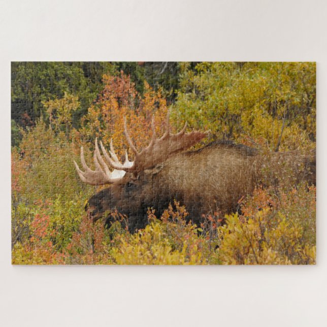 Puzzle Bull Moose | Parc national de Denali, Alaska (Horizontal)