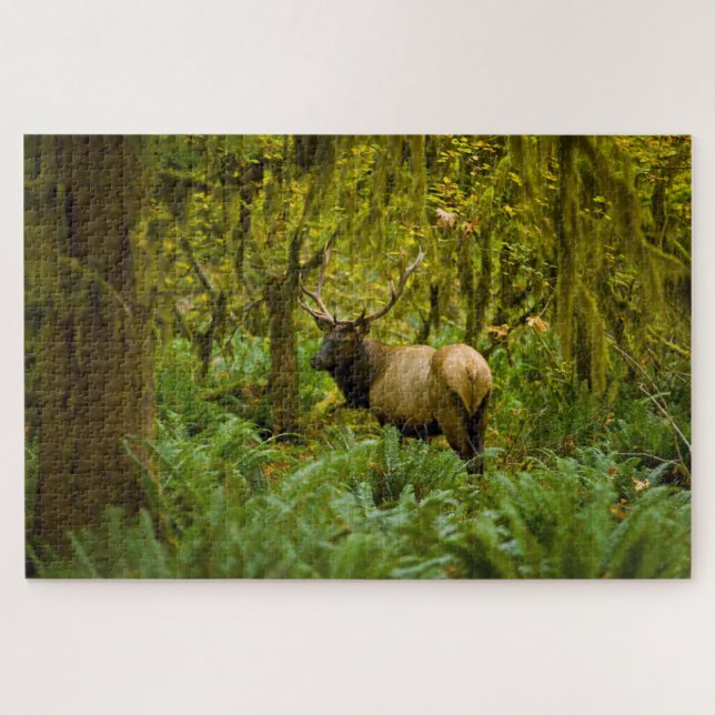 Puzzle Bull Roosevelt Elk (Horizontal)