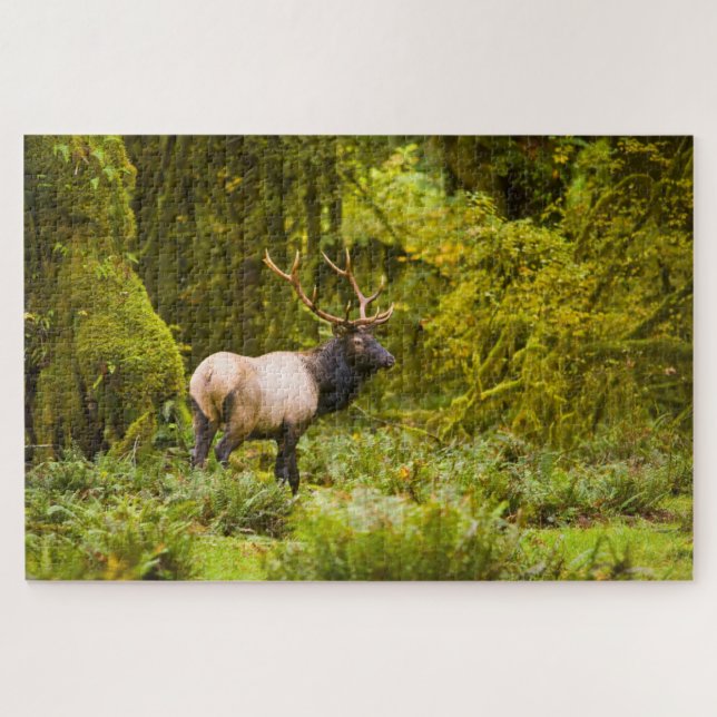 Puzzle Bull Roosevelt Elk Debout Dans Le Pré (Horizontal)