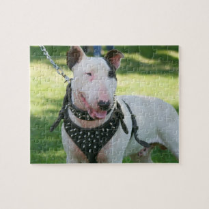 Puzzle Bull-terrier anglais