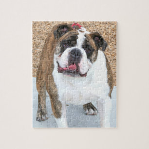Puzzle bulldog anglais