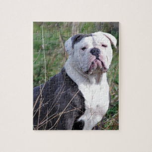 Puzzle Bulldog anglais