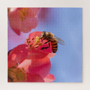 Puzzle Bumble Bee on Quince