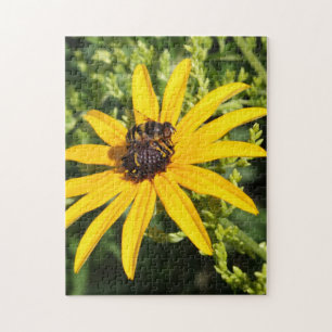 Puzzle Bumble Bee Yellow Flower Photographie