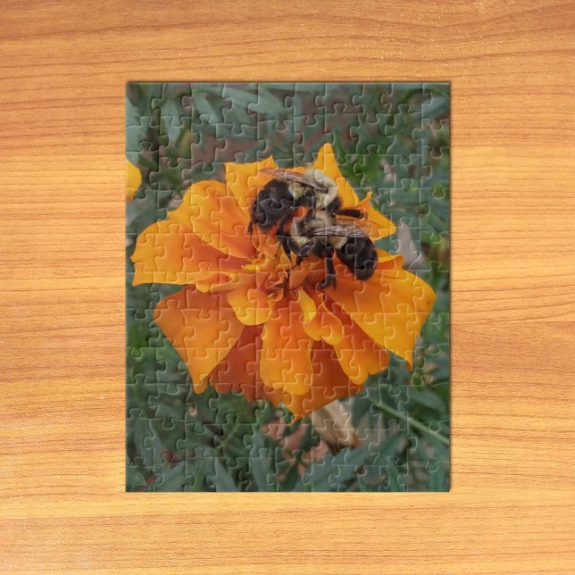 Puzzle Bumblebebees sur Marigold Flower (Bumblebees on Marigold Flower Jigsaw Puzzle on Table)