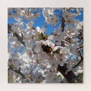 Puzzle Bumblebee sur la fleur de cerisier sauvage