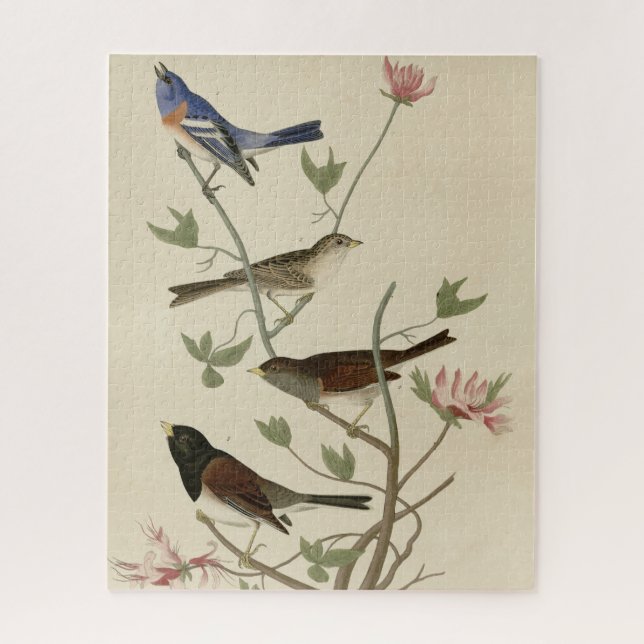 Puzzle Bunting, Sparrow, Junco, (Finches) Oiseaux d'Audub (Vertical)