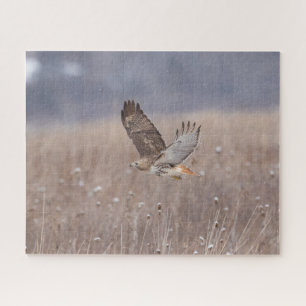 Puzzle Buse à queue rouge en vol