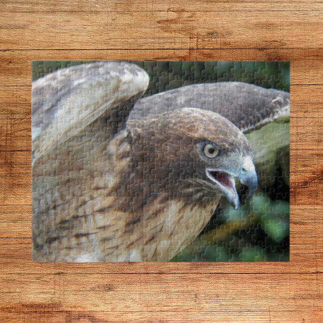 Puzzle Buse à queue rousse Raptor Animal (In Situ)