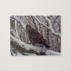 Puzzle Buse d'hiver perchée sur une branche gelée de la f