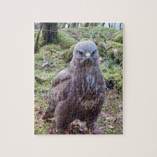 Puzzle Buse grincheuse excentrique avec regard attitude (Vertical)