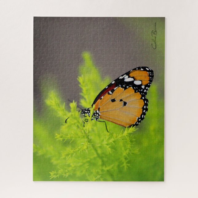 Puzzle Butterfly series - African monarch butterfly (Vertical)