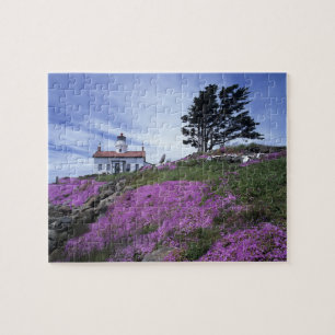 Puzzle CA, Crescent City, phare de Battery Point avec