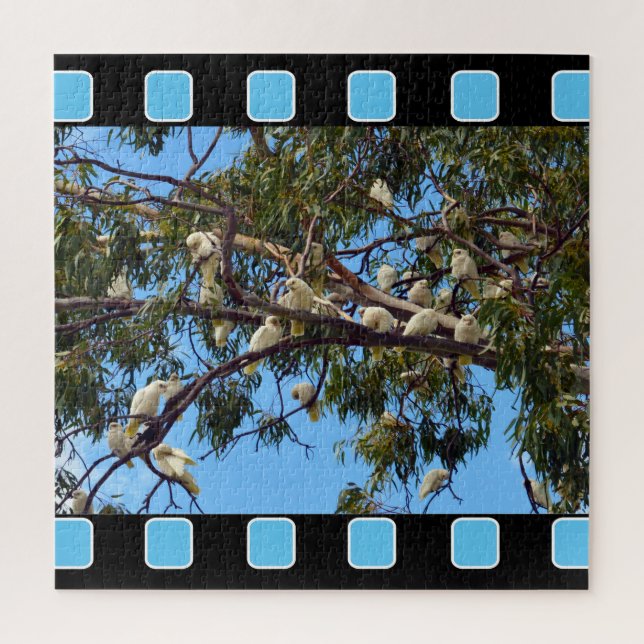 Puzzle Cacatoès australiens sauvages dans des gommiers, (Vertical)
