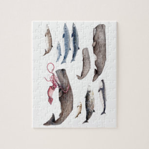 Puzzle Cachalot et zifios : Baleines des profondeurs