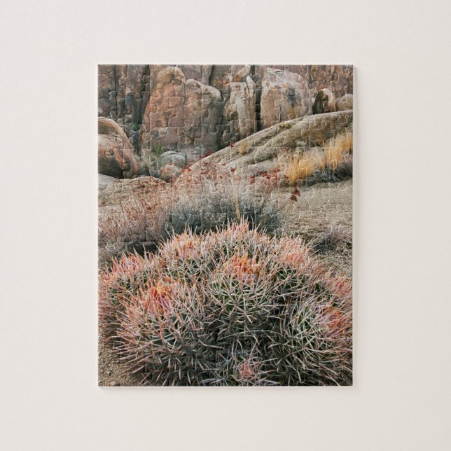 Puzzle Cactus Barrel en Californie (Vertical)