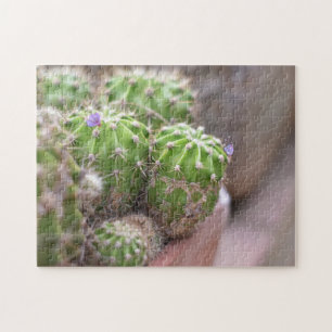 Puzzle Cactus Cactus Fleur Nature Photographie Jardin