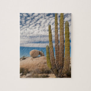 Puzzle Cactus dans un paysage désertique