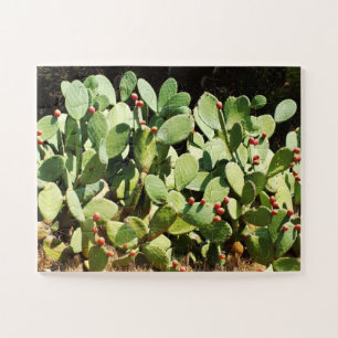 Puzzle Cactus de poire