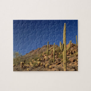 Puzzle Cactus de Saguaro et montagnes de Tucson, Tucson