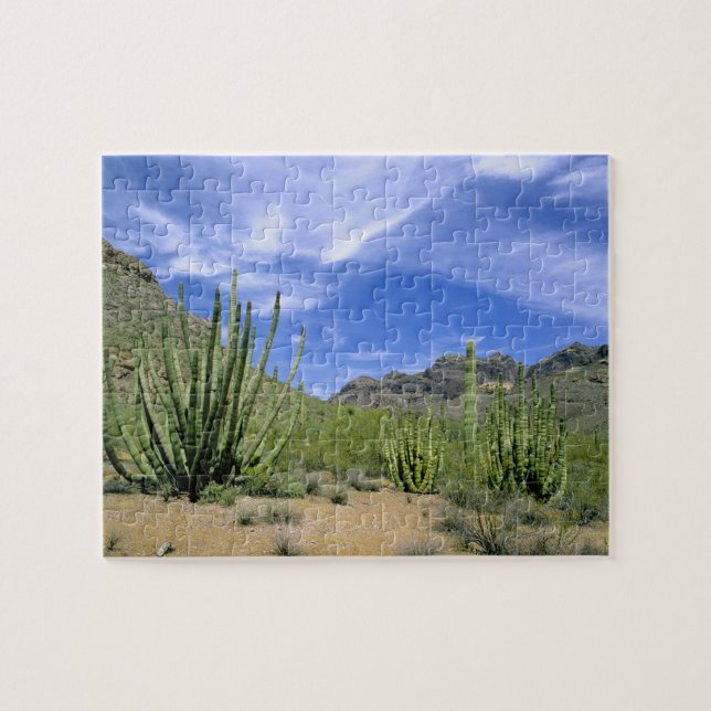 Puzzle Cactus du désert à Organ Pipe National Monument, (Horizontal)