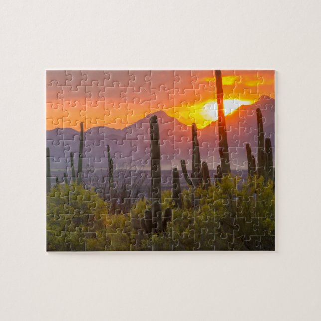 Puzzle Cactus du désert au coucher du soleil, Arizona (Horizontal)