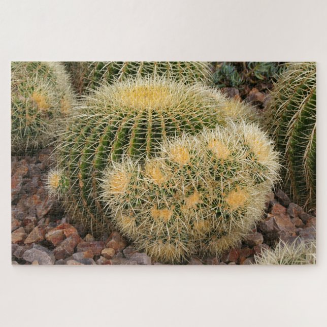 Puzzle Cactus en baril d'or (Horizontal)