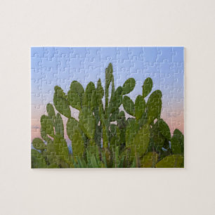 Puzzle Cactus et sisal en forêt sèche