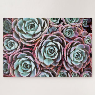 Puzzle Cactus rose succulent, couleur 20 x 30