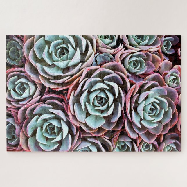 Puzzle Cactus rose succulent, couleur  20 x 30 (Horizontal)