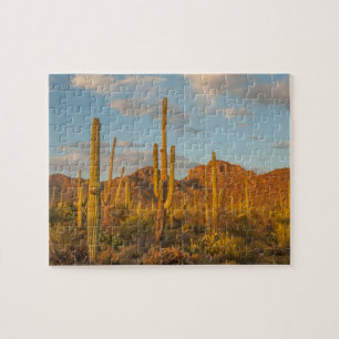 Puzzle Cactus saguaro au coucher du soleil, Arizona