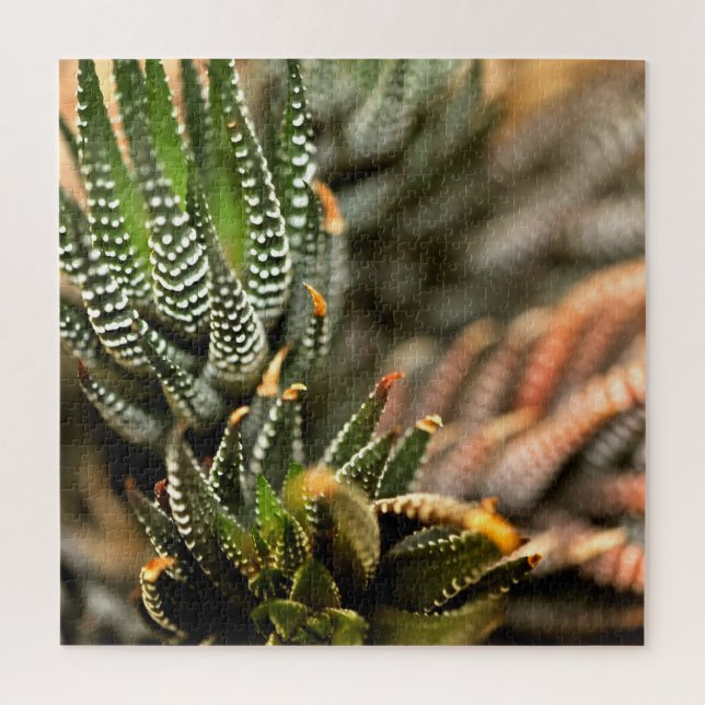 Puzzle Cactus Too  (Vertical)