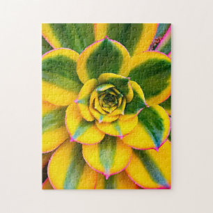 Puzzle Cactus vert jaune rose Photo Belle Vibrant