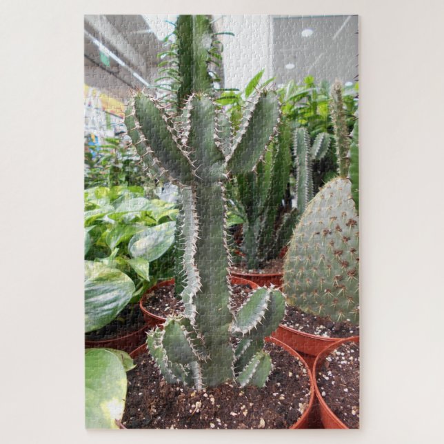 Puzzle Cactus World (Vertical)