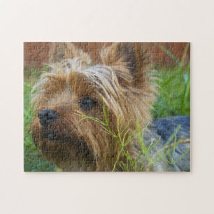 Puzzle Cadeau de conception de chien populaire