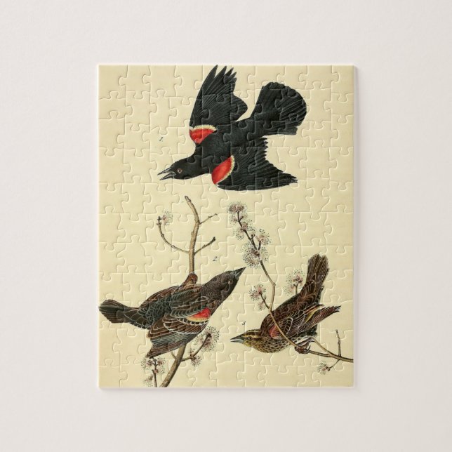 Puzzle Cadeau vintage Audubon à ailes rouges Blackbird Pa (Vertical)